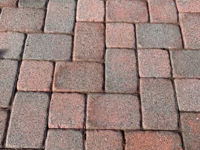 After_Back Patio Pavers Soft Wash Cleaning