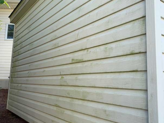 Before_Shed Vinyl Siding soft wash cleaning