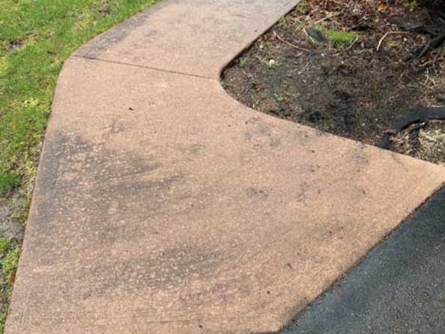 Before_Sidewalk soft wash cleaning