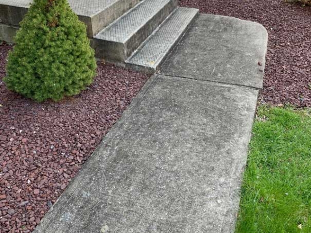 Before_front side walk soft wash cleaning